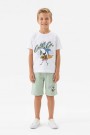 Erkek Çocuk Köpek Balığı Ve Surf Temalı Baskılı Kısa Kollu Tişört Şort Takım