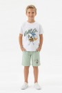 Erkek Çocuk Köpek Balığı Ve Surf Temalı Baskılı Kısa Kollu Tişört Şort Takım