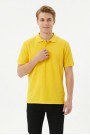 Erkek Basic Polo Yaka Kısa Kollu Slim Fit Pamuklu Örme Tişört