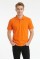 Erkek Basic Polo Yaka Kısa Kollu Slim Fit Pamuklu Örme Tişört