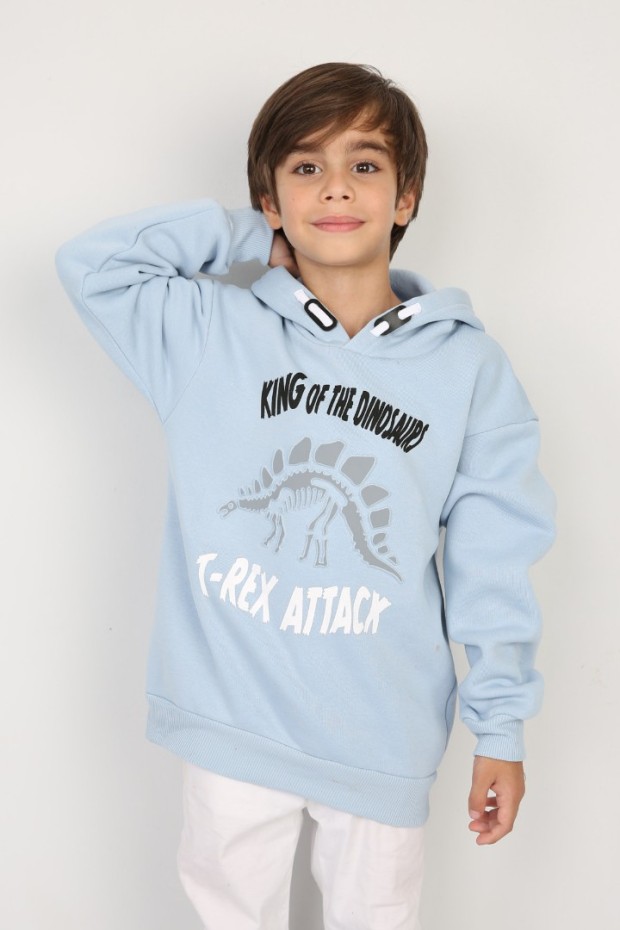 Üç İplik Şardonlu Baskılı Kapşonlu Mavi Sweat